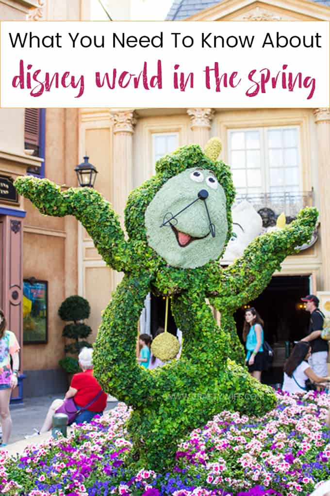 Four tips to help you plan the perfect vacation to Disney World in the Spring! Learn what weeks to avoid, what events to go to, and what you need to pack!