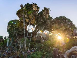 Celebrate at Disney World in 2018 - There are new and exciting things happening at Disney World this year as well as some fun old celebrations and activities coming back to the parks. Check out all the reasons why 2018 should be the year YOU celebrate your family vacation at Disney World!